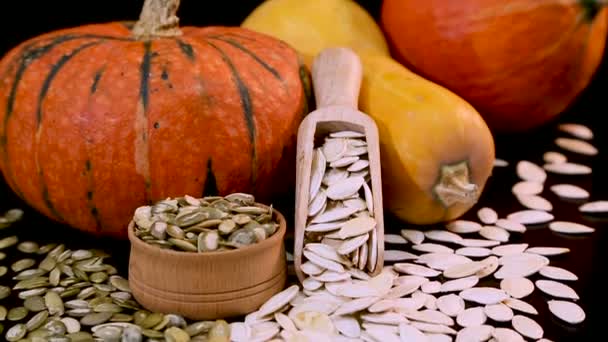 Semillas Calabaza Calabaza Diferentes Colores Sobre Fondo Negro — Vídeo de stock