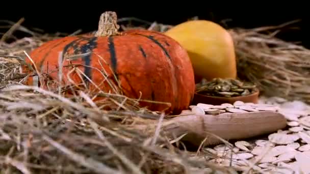 Semillas Calabaza Blanca Verde Heno Calabaza Naranja Amarilla — Vídeo de stock