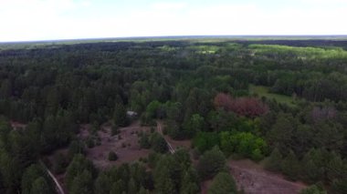 Yukarıdan Çernobil Yasaklama Bölgesi Ormanı (Pinus sylvestris): Felaket üstüne ekosistem iyileştirmesi: bilimsel bir belgesel konsepti olarak radyoekoloji ve şaşırtma