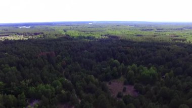 Çernobil Yasaklama Bölgesi Ormanı (Polissia Ekosistem) kuş bakışı açısından: Bilimsel bir belgesel konsepti olarak ekoloji ve radyobiyoloji