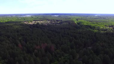 Çernobil sınırlama bölgesinin manzarası: Pripyat Nehri 'nin zeminine karşı Çernobil ormanında terk edilmiş bir çiftlik