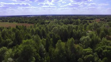 Çernobil Bölgesi: Çernobil bölgesi manzarasının destansı panoramik hava fotoğrafçılığı. Vahşi orman, terk edilmiş köy ve Pripyat 'ın güçlendirilmiş nehir sistemi.