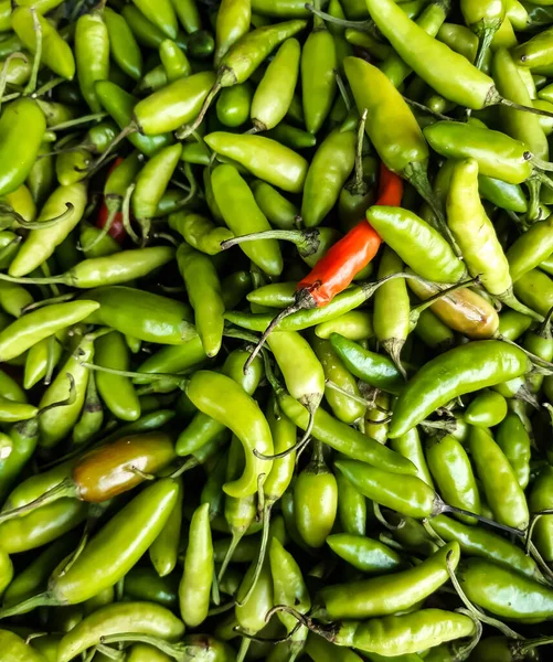 Winkel Heeft Groene Rauwe Paprika Een Mand Bewaard Dit Zijn — Stockfoto