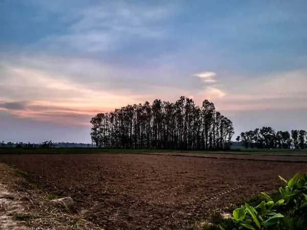 Оточення Індіанського Села Час Заходу Сонця Сільські Ферми Зелене Дерево — стокове фото