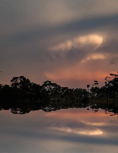Hindistan Kırsalının Mavi Gökyüzünde Günbatımında Tarım Arazilerinin Yeşil Ağaçların Beyaz — Stok fotoğraf