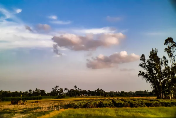 Trabalho Agrícola Vegetação Meio Ambiente Nas Aldeias Bengala Ocidental Índia — Fotografia de Stock