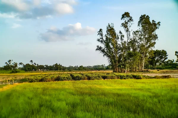 Travaux Agricoles Verdure Environnement Dans Les Villages Bengale Occidental Inde — Photo