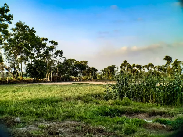 Travaux Agricoles Verdure Environnement Dans Les Villages Bengale Occidental Inde — Photo
