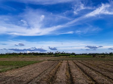 Akşamları, güneşin ışığı mavi gökyüzündeki beyaz bulutların ve Hindistan 'ın kırsal çevre ve tarım arazilerinin ortasından yansıyor..