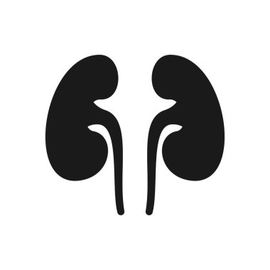 Böbrek ikonu. Vektör çizimi. Organ simgesi vektörü