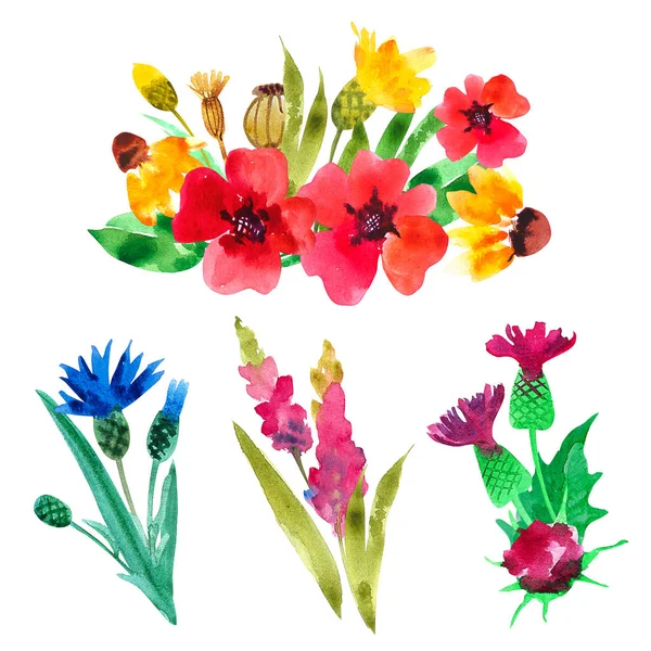 Set Bouquets Wild Flowers Watercolor — Stock Photo, Image