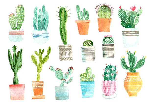 Cactus Akvarell Hand Rita Illustration Isolerade Vit Bakgrund — Stockfoto