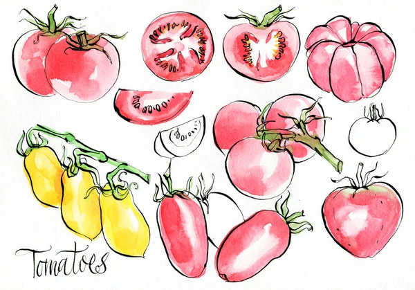 Set Watercolor Tomatoes — Stock Photo, Image