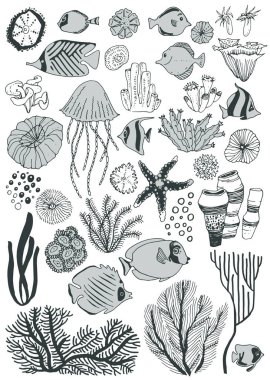 Deniz yaşamı ile ayarla