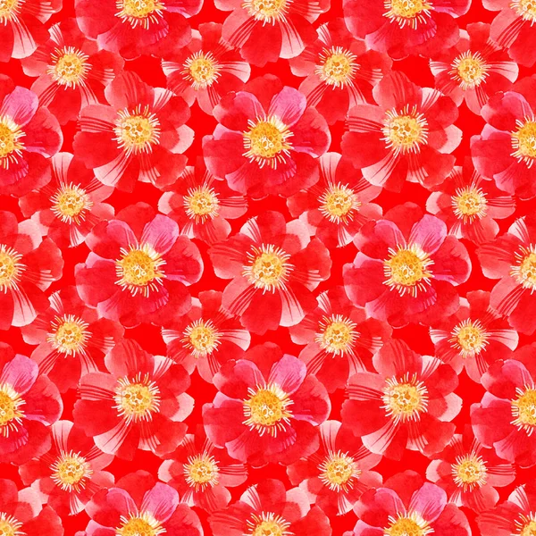 Modèle Sans Couture Avec Des Fleurs Aquarelle Rouge — Photo