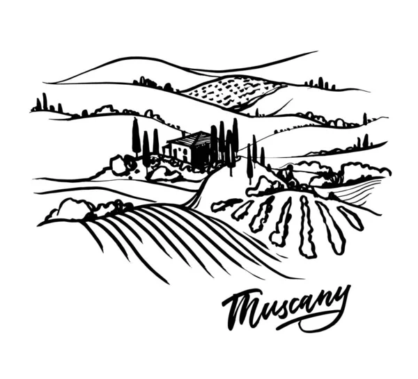 Toscane Landschap Hand Getekend Illustratie Vectorllustratie Witte Achtergrond — Stockvector