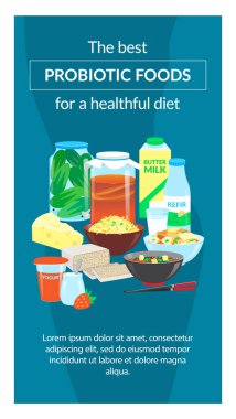 Sağlıklı beslenme için probiyotik gıdalar. Banner şablonu. Vektör illüstrasyonu.