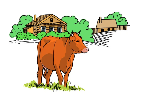 Vache Sur Terrain Illustration Vectorielle Dessinée Main Sur Fond Blanc — Image vectorielle