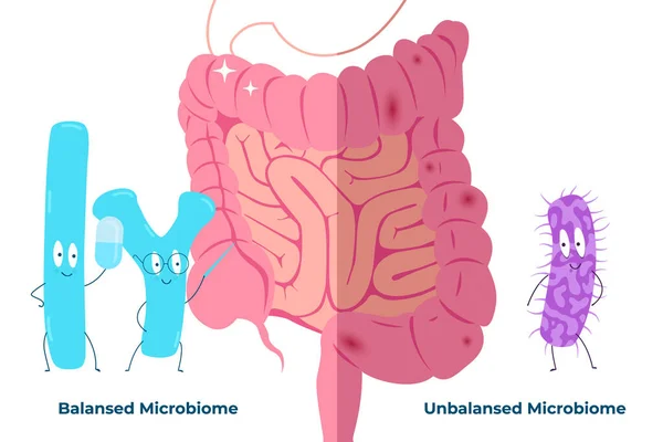 Bad Good Bacteria Background Intestine How Bad Good Bacteria Affect — Stock Vector