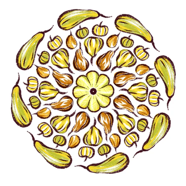 曼达拉的南瓜 不同品种的南瓜 装饰南瓜 — 图库照片