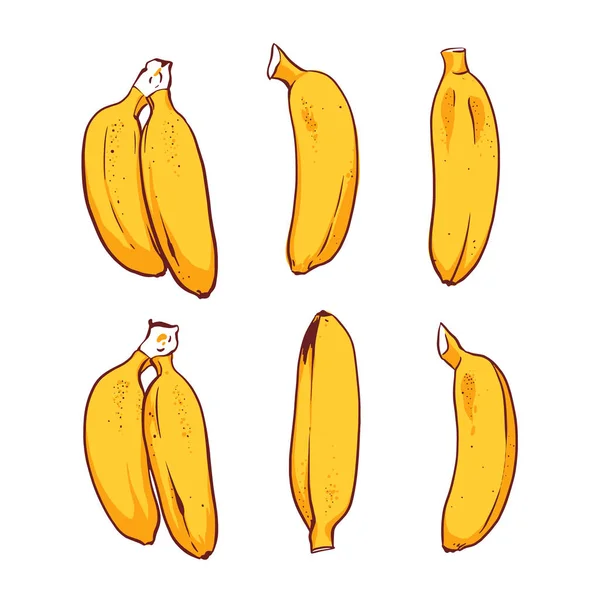 Set Yellow Mini Bananas Sketch Drawing Vector Illustration White Background — Stock Vector