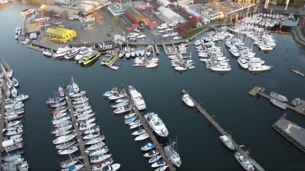 Uitzicht Brug Met Jachthaven Aan Voorkant Ook Het Centrum Bergen — Stockvideo