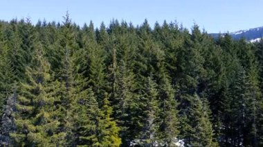 Köprünün önünde yat limanının manzarası var. Ayrıca şehir merkezinde ve arka planda dağlar görülebiliyordu.