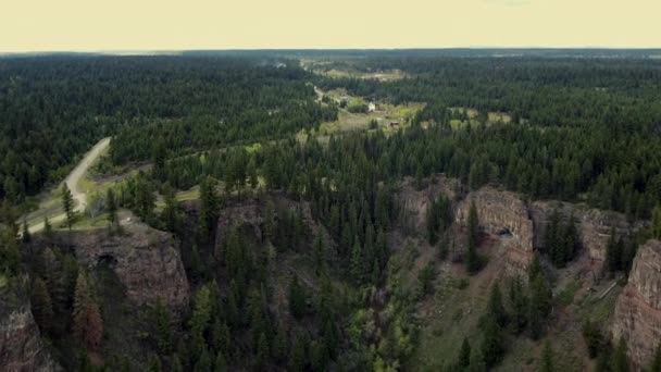 Voar Sobre Pinhal Infinito Norte Canadá — Vídeo de Stock