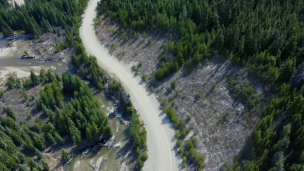 カナダのS字型の曲がりくねった道を見下ろす空中の上からの眺め 道路の横にある野生の川 道路に隣接する晴れた日に緑の松の森 — ストック動画