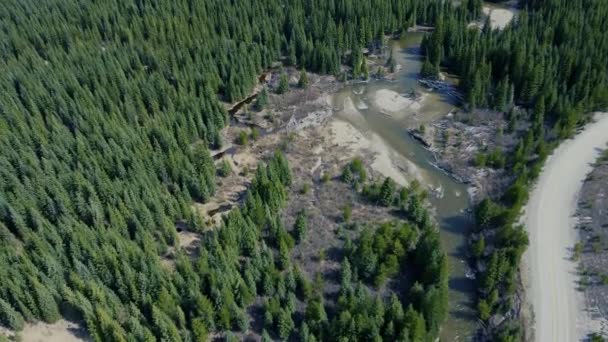 Vuela Sobre Río Fangoso Salvaje Que Fluye Medio Del Verde — Vídeo de stock