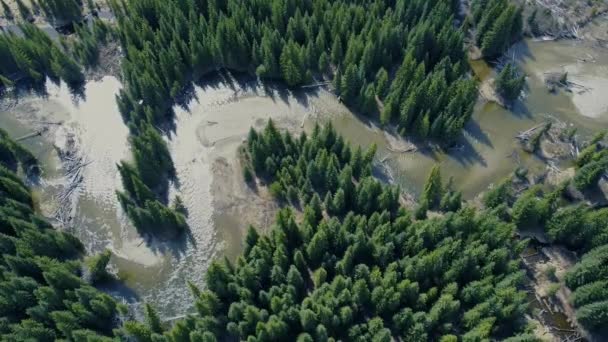 Vista Aerea Dall Alto Verso Basso Del Fiume Selvaggio Tortuoso — Video Stock