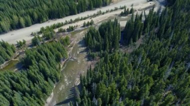 Yeşil ladin ormanına ve boş yola bitişik kıvrımlı nehrin hava manzarası. Kanada 'da güneşli bir günde.