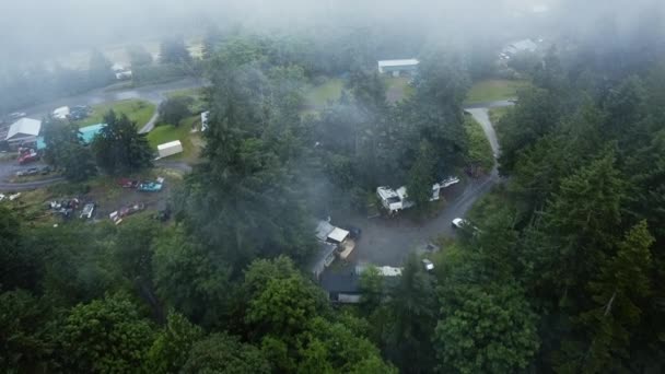 Coches Abandonados Bosque Cubiertos Niebla Vista Aérea — Vídeos de Stock