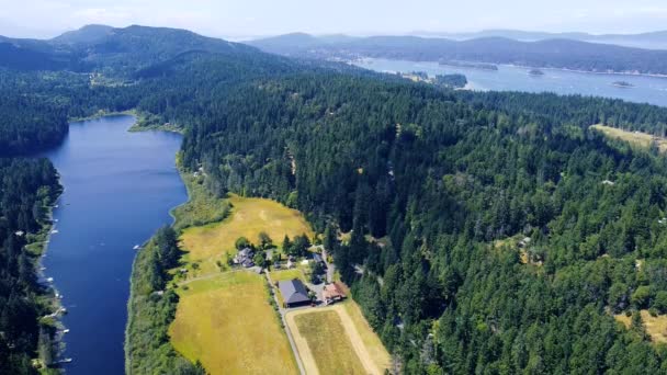 Letecký Pohled Farmu Přiléhající Modrému Jezeru Zelenému Smrkovému Lesu Hory — Stock video