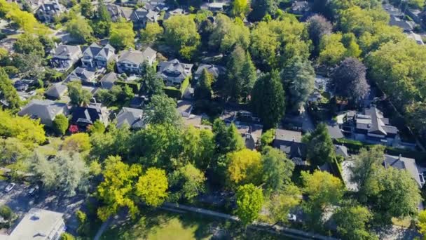 Vancouver houses surrounded by green trees top down view — Stock Footage Vancouver Houses Surrounded Green Trees Top View Stock Footage