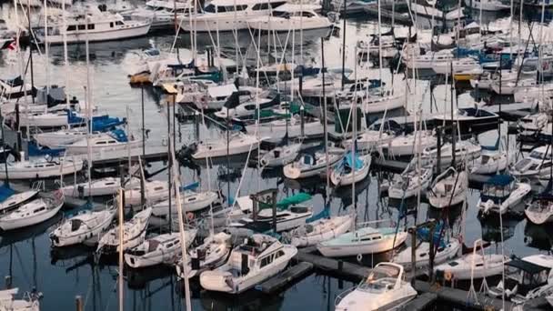 Vancouver Marina Sailing Boats Waiting New Trip — Stock Video