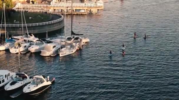 Paddleboards Tijdens Zonsondergang Bij Jachthaven Met Jachten Vancouver — Stockvideo