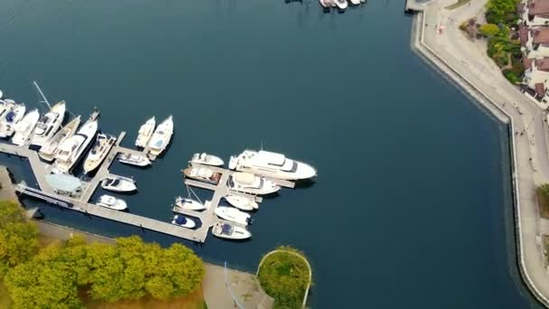 ヨット クリーク 水上近くのランナーのトップダウンビュー — ストック動画