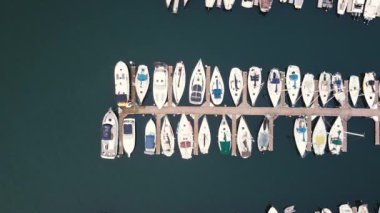 Kanada 'da uçan küçük yelkenli gemiler ve martıların aşağı manzarası