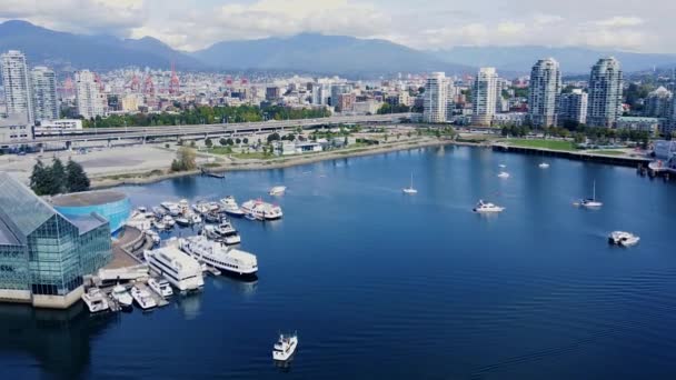 Flyg Över False Creek Vancouver Centrum Och Segelfartyg Solig Dag — Stockvideo