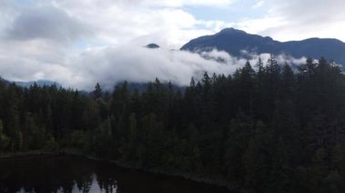 Arkasında bulut ve dağ olan yeşil ladin ormanının havadan görünüşü