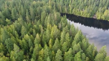 Gökyüzü yansıması ve bitişik yeşil çam ormanıyla gölün üzerinden uç