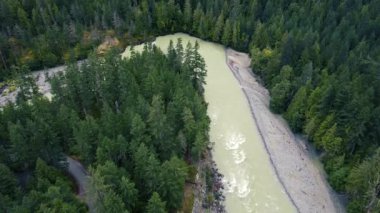 V şeklindeki nehrin geniş ladin ağaçlarıyla çevrili akıntılı insansız hava aracı görüntüleri.