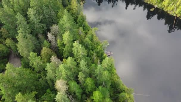 Top Uitzicht Het Meer Met Lucht Reflectie Aangrenzende Groene Dennenbos — Stockvideo