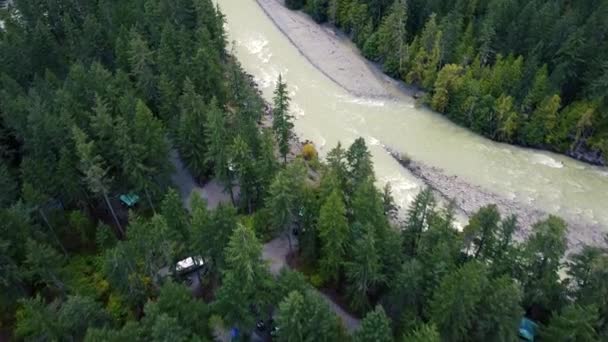カナダの急流で野生の川を見下ろすトップダウン 周りの緑のトウヒの森と — ストック動画