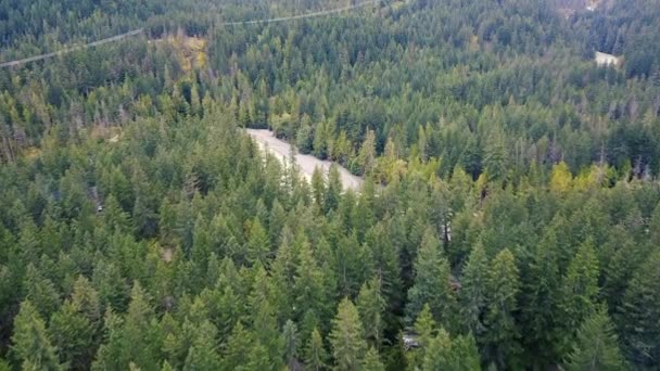 Letecký Záběr Zeleného Smrkového Lesa Divoké Řeky Peřejemi Kanadě — Stock video