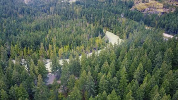 Vista Aérea Del Bosque Picea Verde Con Humo Ligero Río — Vídeo de stock