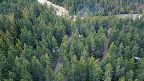 Flyg Över Skogen Med Campingplatser Och Lätt Rök Från Eldstäderna — Stockvideo