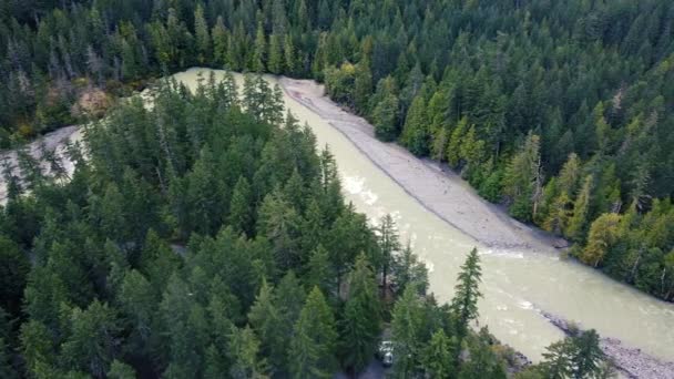 从上往下俯瞰河岸 急流和森林的河流 — 图库视频影像