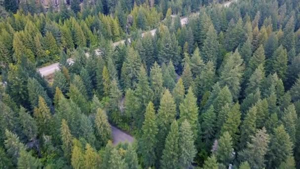 飞过绿树成荫的森林 飞过露营地 前方有一条路 — 图库视频影像